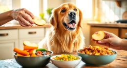 nourishing meals for senior dogs