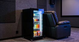 top 15 home theater fridges
