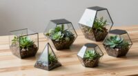 top geometric terrarium designs