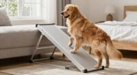 top heavy duty dog ramps