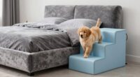 top pet bed stair options