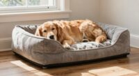 comfortable orthopedic dog beds