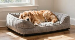 comfortable orthopedic dog beds