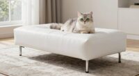 stylish clean pet furniture