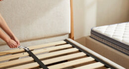 7 Best Upholstered Bed Frames for Master Bedrooms in 2026