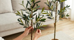 9 Best Artificial Olive Trees for Home Decor in 2026