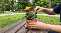 Hamburg's Stadtpark: A Park Built To Be Used
