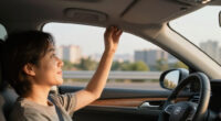 Why Do Some Cars Skip The Grab Handle Above The Driver’s Seat?