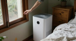 5 Signs You Need A Dehumidifier – The Everyday Clues Experts Say You Shouldn't Ignore